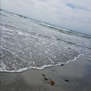 Meet your Posher, Erika